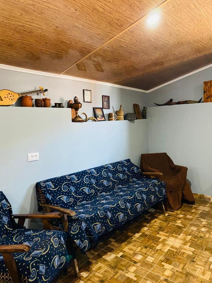 Mamuka'S Guesthouse Udabno Luaran gambar