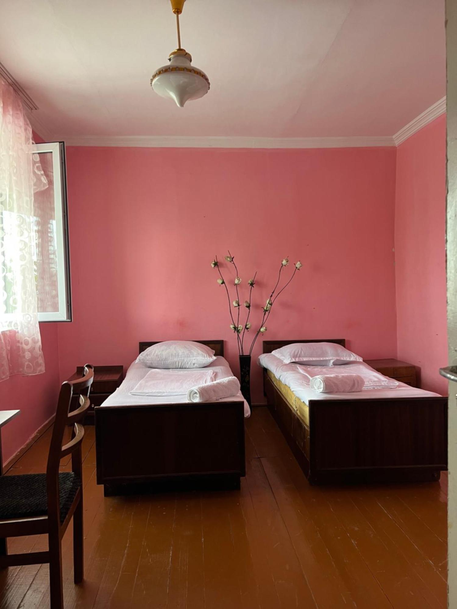 Mamuka'S Guesthouse Udabno Luaran gambar