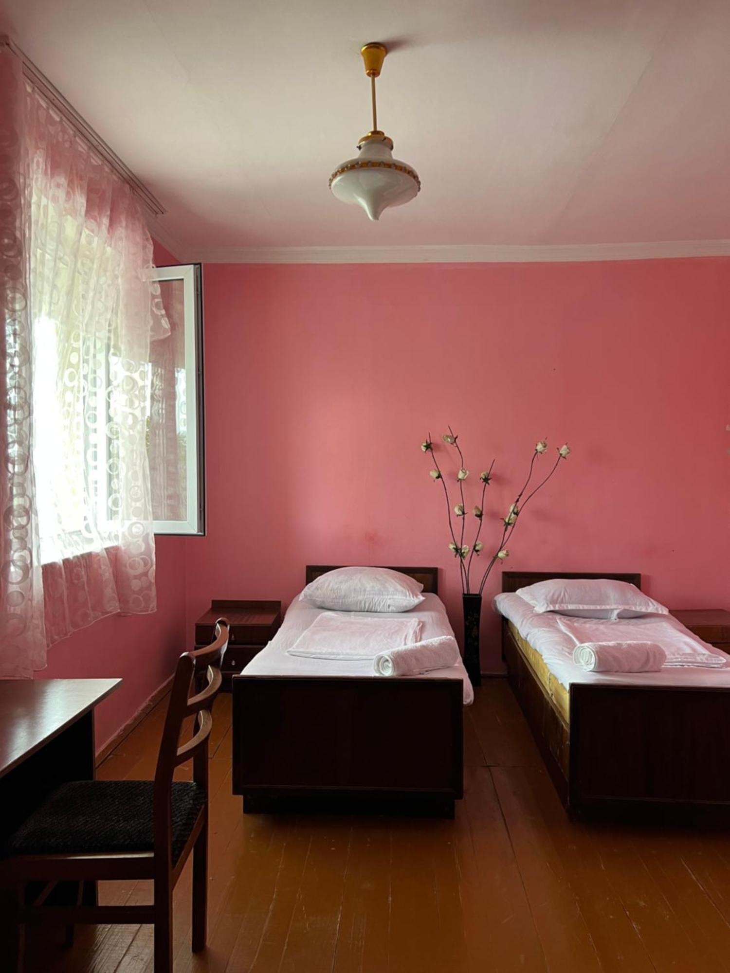 Mamuka'S Guesthouse Udabno Luaran gambar